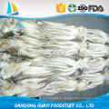 Congelado Illex Argentinus Squid Cabeza de diferentes tamaños disponibles